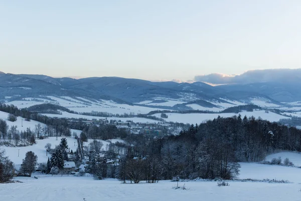 Träd täckta med snö på en vinter mountain — Stockfoto