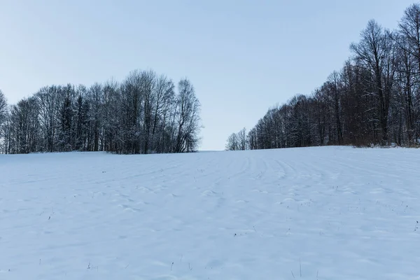 Winterpark im Schnee — Stockfoto