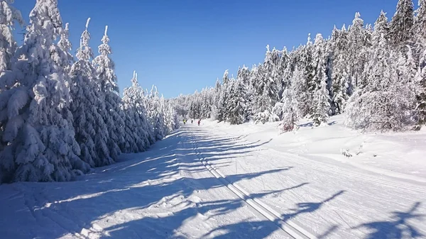 Μεγαλοπρεπή βουνά μυστηριώδης χειμώνα τοπίο το χειμώνα. Μαγικές χειμερινές καλύπτονται δέντρο χιόνι. Δρόμος Χειμώνας στα βουνά. — Φωτογραφία Αρχείου
