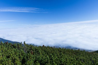 Dağlar peyzaj yüksek tepeler sahne vahşi doğa sakin sahne. Yaşam tarzı etkin seyahat Hiking. Vahşi dağların doğal sahne