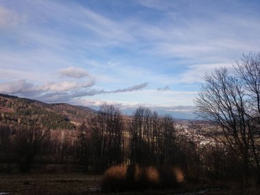 Peyzaj ilkbaharda çayır ve ormanlar