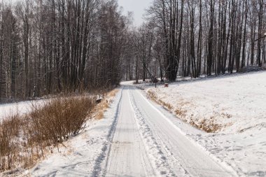 Karla kaplı ağaçlarla kaplı güzel kış manzarası