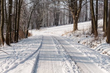karlı ağaç ve snowmobile yolu kış manzarası