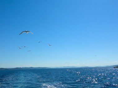 Deniz yüzey havadan görünümü. Arka plan açık deniz su yüzeyine vurdu. Mavi deniz sakin suda. Deniz doku. Arka plan mavi dalgalar.