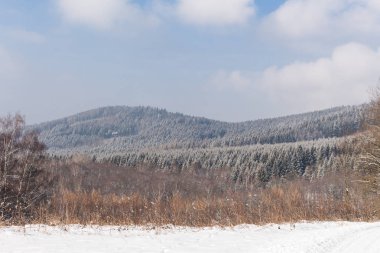 Güneşli bir gün bir parkta kış Panoraması
