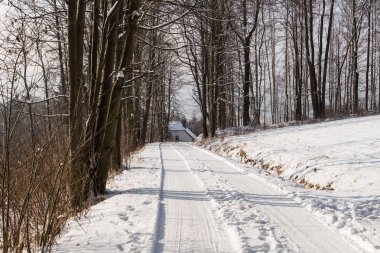 Kış manzarasında yol karla kaplı.