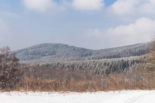 Güneşli bir gün bir parkta kış Panoraması