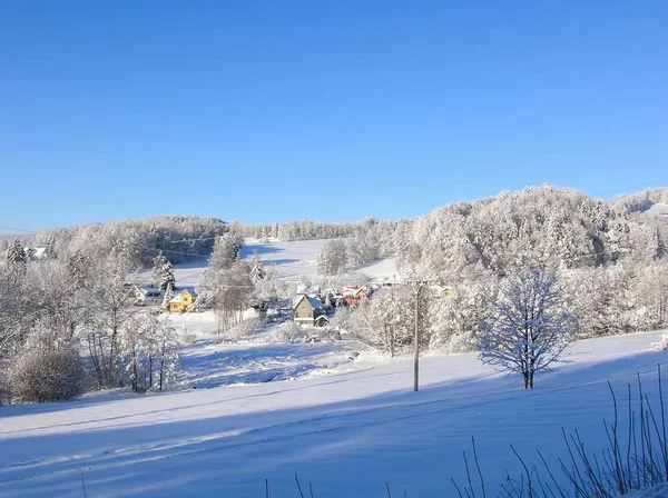 Bomen bedekt met sneeuw op de berg van een winter. Winter in de bergen. — Stockfoto