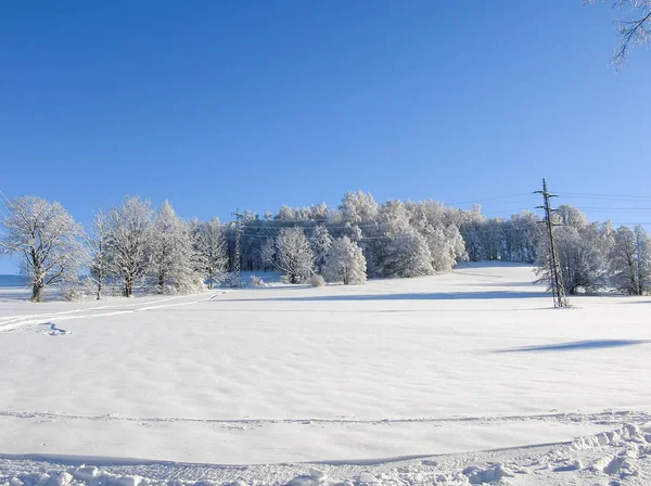 Trees covered with snow on a winter mountain. Winter in the mountains. — Stock Photo, Image