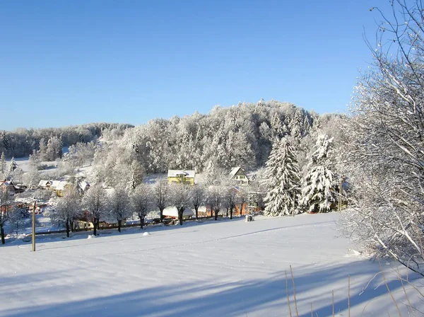 Mystiska vinter landskap majestätiska bergen på vintern. Magiska vinter snötäckta träd. Vinterväg i bergen. — Stockfoto