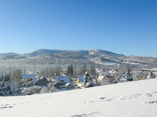 Bomen bedekt met sneeuw op de berg van een winter — Stockfoto
