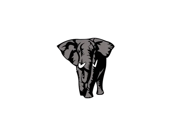 Slon velký kreslený savec izolované na bílém. Bush nebo lesní slon africký a slon. — Stockový vektor