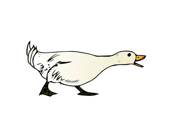 Domestic goose, poultry breeding vector Illustration isolated on a white background. — Stock Vector