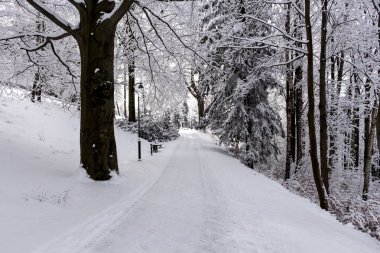 Kış aylarında kar ve yol ile kaplı karlı manzara fotoğrafı