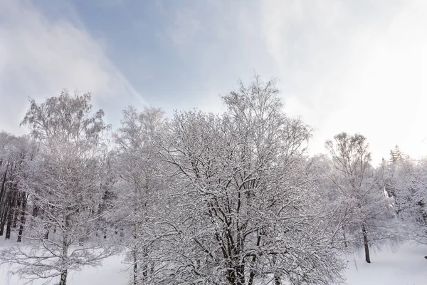 Foto av snöiga landskap med blå himmel och vägen i vinter — Stockfoto