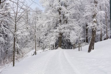 Kış aylarında kar ve yol ile kaplı karlı manzara fotoğrafı