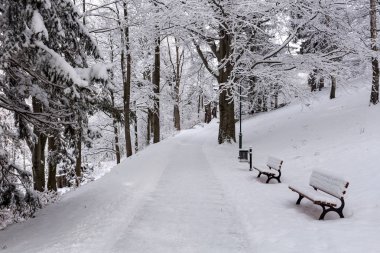 Kış aylarında kar ve yol ile kaplı karlı manzara fotoğrafı