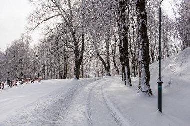 Kışın gizemli kış manzara görkemli dağlar. Sihirli kış kar kaplı ağaç. Dağlarda kış yol. Dramatik kış sahne.
