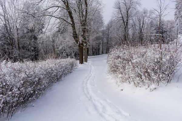 Kış Aylarında Kar Yol Ile Kaplı Karlı Manzara Fotoğrafı — Stok fotoğraf