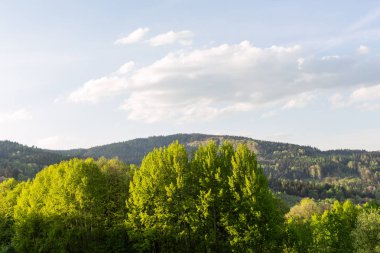 Bahar çayır dağlarda. Parlak Alp manzara mavi gökyüzü ile. Beyaz bulutlar ve parlak güneşin altında mavi gökyüzü. 