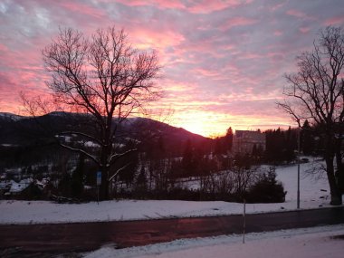 Kırsal bir yaz gün batımından sonra bitki ve ağaçların karanlık siluetleri üzerinde gökyüzünde Inanılmaz kızdırma ateşli renkler. Seçici odaklama.