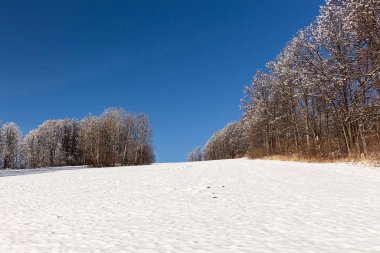 Dağlardaki muhteşem Kış Ormanı. Vahşi bölgenin resmi. Peri masalı ormanının manzaralı görüntüsü.