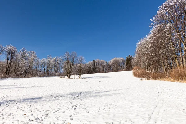 Dağlardaki muhteşem Kış Ormanı. Vahşi bölgenin resmi. Peri masalı ormanının manzaralı görüntüsü.