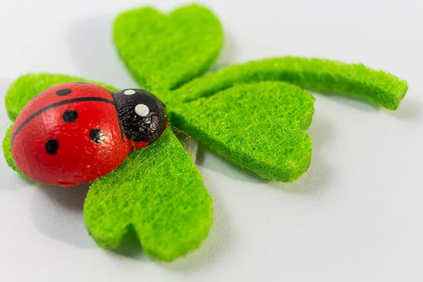 Tarjeta Felicitación Con Mariquita Trébol Trébol Suerte Una Mariquita — Foto de Stock