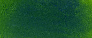 Yeşil arkaplan soluk desenli ve parlak merkezli ve vignette kenarlıklı, zarif lüks yeşil renk eski model.