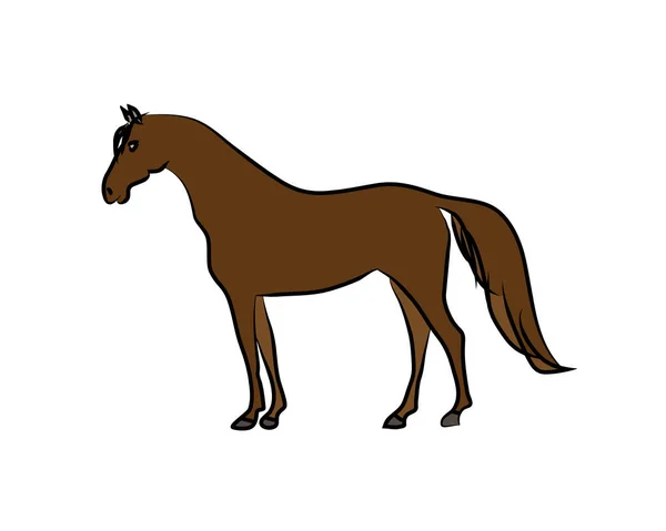 Zeichnung Eines Braunen Pferdes Auf Weißem Hintergrund Skizze Zeichnung Von — Stockvektor
