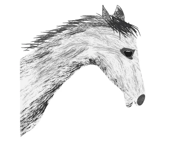 Croquis Main Tête Cheval Belle Icône Arabe Croquis Étalon Pour — Image vectorielle