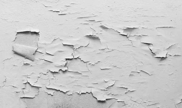 Cracked paint on wall in room, B&W tone — Stock Photo, Image