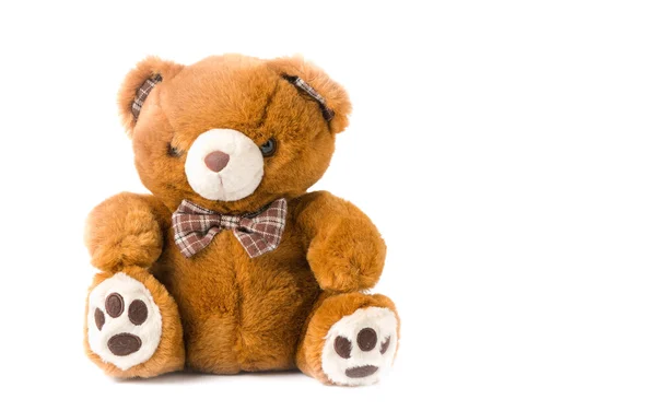 Cute brown Teddy Bear isolated — Stock Photo, Image