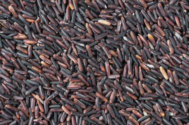 pirinç berry arka plan, çiğ pirinç