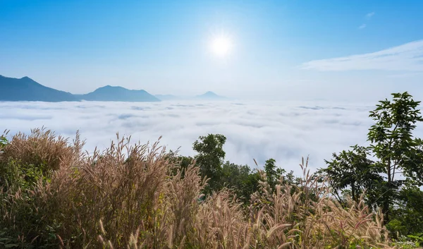 Sea of fog over Phu Thok Mountain — Stock Photo, Image