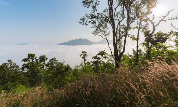 Landscape and sea of fog over Phu Thok Mountain — Stock Photo, Image