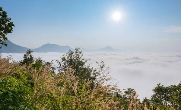 Sea of fog over Phu Thok Mountain — Stock Photo, Image