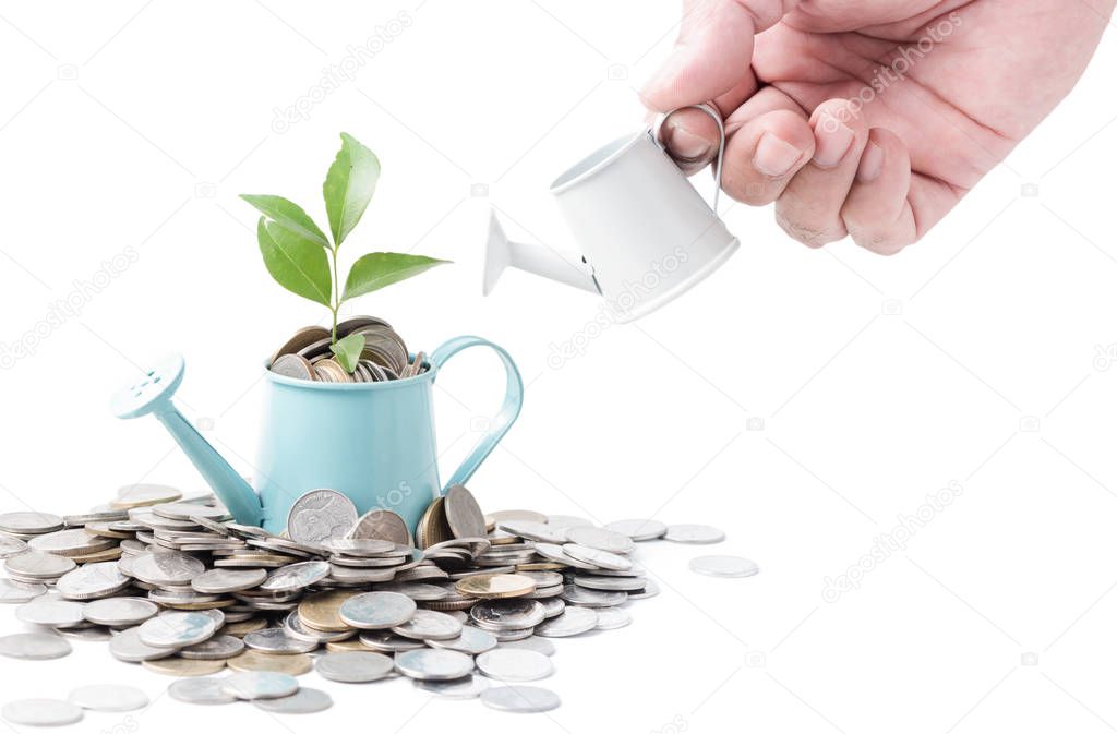 Businessman watering a tree growing out of silver coins on water