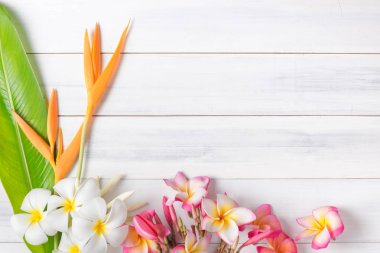 Heliconia ve plumeria çiçekli Beyaz ahşap doku