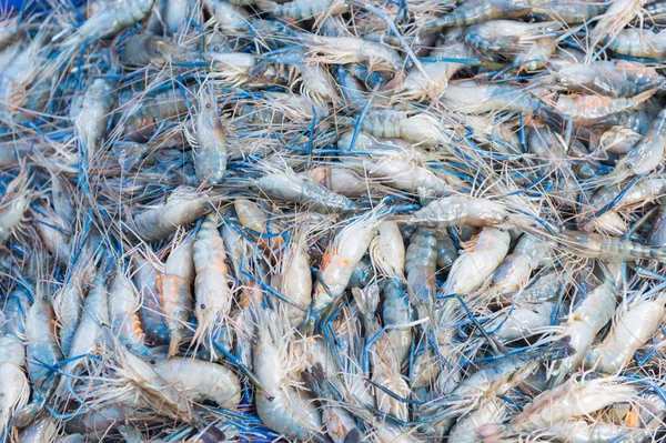ThaiFresh camarão no mercado de peixe na TAILÂNDIA — Fotografia de Stock