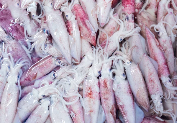 Frutos do mar de lulas frescas em bruto no mercado tailandês — Fotografia de Stock