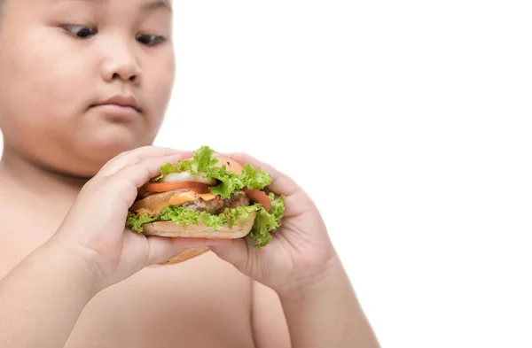 Sertés hamburger elhízott kövér fiú kezét háttér elszigetelt — Stock Fotó
