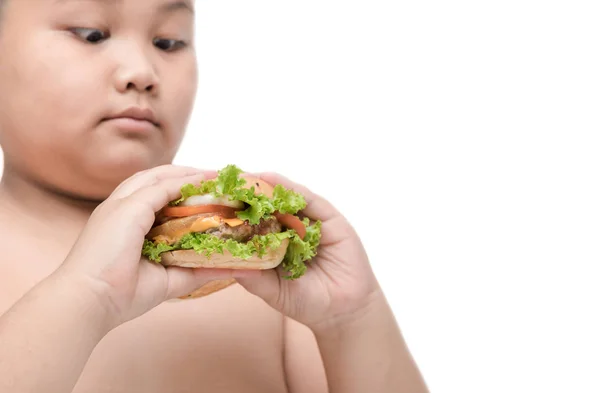 Pork hamburger on obese fat boy hand background isolated — Stock Photo, Image