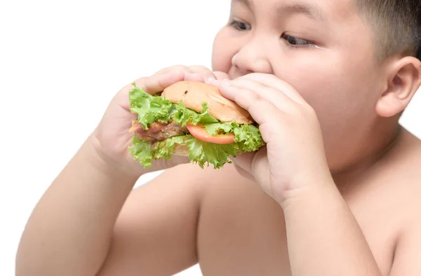 Hamburguesa de cerdo en obeso grasa chico mano fondo aislado — Foto de Stock