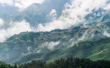 pirinç terasları ile güzel dağ