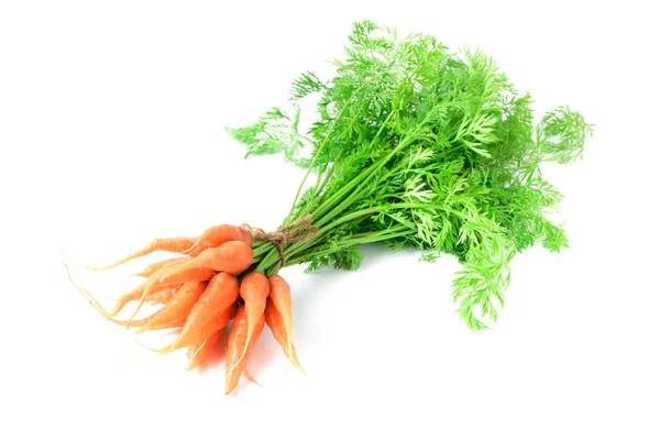 Cenouras orgânicas frescas com folhas verdes isoladas — Fotografia de Stock