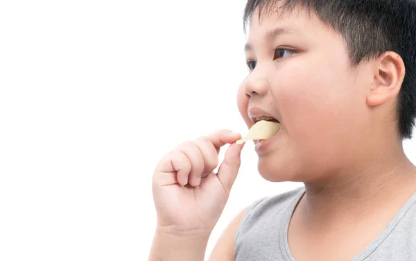 Obeso gordo menino comendo batatas fritas isolado — Fotografia de Stock