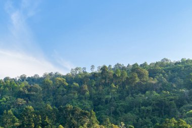 Khao Luang 'daki tropikal yağmur ormanlarında mavi gökyüzü, Kiriwong villası