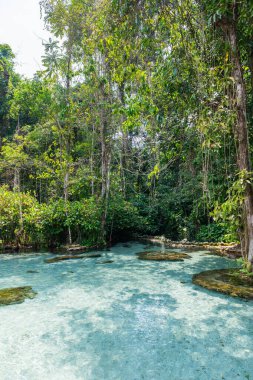 Surat Tha 'daki Ban Nam Rad ormanında kristal berrak su