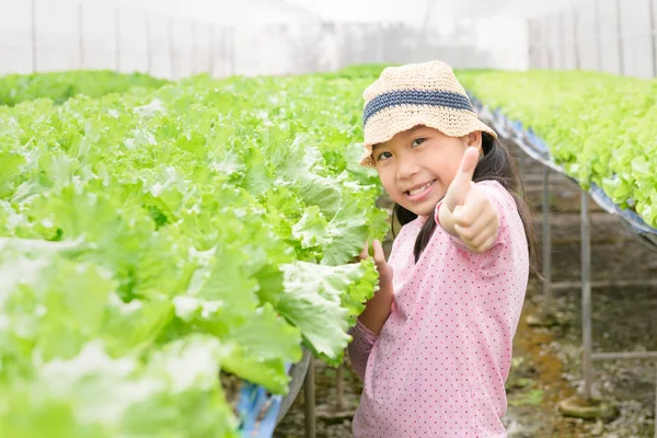 Lindo asiático chica mostrando pulgar arriba en orgánico vegetal granja —  Fotos de Stock